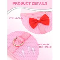 Conjunto de pecho y espalda de conejo para mascotas de malla transpirable con arnés para animales pequeños, perfecto para cobayas y ardillas - details 2