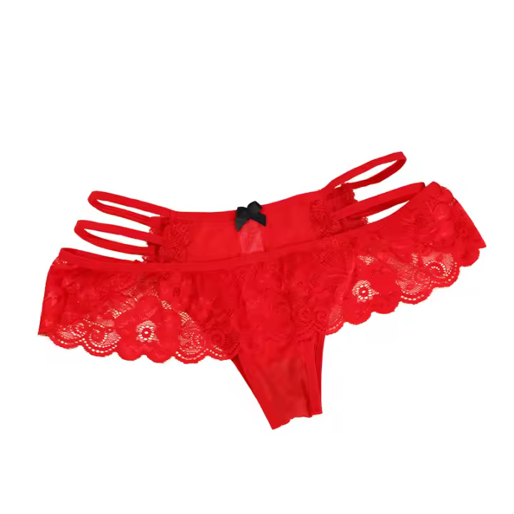 Bragas de Encaje Sexy para Mujer Ropa Interior Erótica, Tiro Bajo, Lencería Floral, Máxima Comodidad y Noche - 1