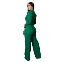 Ropa de mujer europea y americana línea personalizada empalme mono deportivo de manga larga - details 5