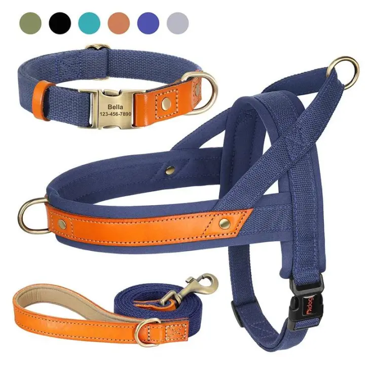 Collar de Cuero de Nylon para Perros Correa de Captura de Mascotas sin Tirón para Perros Pequeños y Grandes Correa de Vestir de Mascotas - 1