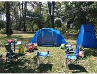 Silla Plegable de Camping de Acero, 50x50x80cm, Silla de Acampada Plegable, Ideal para Camping o Pesca, Estructura de Acero Resistente y Asiento de Lona Impermeable - details 1