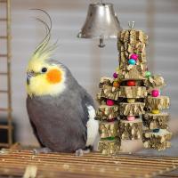 Large Bird Parrot Toy Cage Natural Wooden Blocks Bird Chewing Toy Parrot Cage Bite Toy Macaws Cockatoos Accessoires