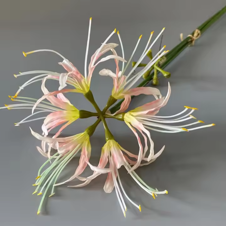 Rama de flor Higanbana Artificial de 60cm, flor de equinoccio de seda hermosa de plástico, flor falsa hecha a mano de tacto Real - 1