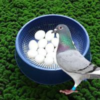 Cuencos de anidación para deshumidificación de cría de codornices, nido de pájaros, accesorios para palomas, caja para incubar - details 4