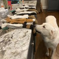 Juguete de Mascota sin Relleno Juguete de Mordedura de Peluche Duradero con Estiradores - details 7