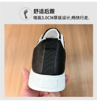 790_07.jpg