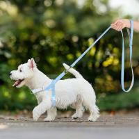 Conjunto arnés de nailon perro, correa sin tirones cachorros, chaleco mascotas con plomo caminar, ustable para perros pequeños y - details 13