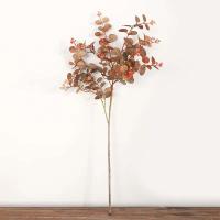 70cm Color otoño hoja de eucalipto bosque dinero planta artificial boda decoración del hogar exhibición de escritorio wers Decoracion - details 4