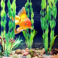 plantas artificiales de acuario Acuario Plantas Acuáticas Artificiales plantas artificiales plastico