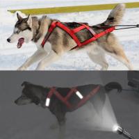 Arneses Reflectantes Ajustables para Mascotas Nocturnas Arneses de Pecho Engrosados para Paseos Nocturnos al Aire Libre - details 6