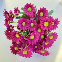 Ramos de girasol, margaritas pequeñas, 21 cabezas de flores artificiales para decoración del hogar y bodas, bricolaje - details 5
