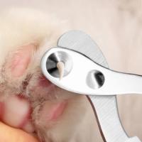 Cortaúñas profesional para mascotas, tijeras de aseo para perros pequeños y gatos, accesorios - details 2