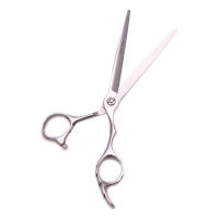 Tijeras profesionales de peluquería, 5,5 ", 6", acero inoxidable japonés, para cortar el cabello, para salón de belleza, envío directo - details 2