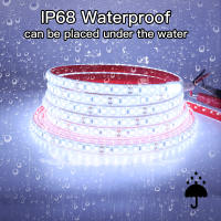 Tira de luces LED de alta seguridad, cinta impermeable IP68 de 2835 Leds/M, 24V, 120 luces, para exteriores, jardín, 20 m/rollo - details 0