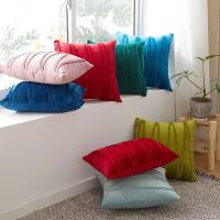 Funda de Cojín de Bordado de Rayas de Terciopelo Color Sólido Diseño Moderno para Decoración del Hogar Tamaño 30X50 45X45 50X50cm - details 0