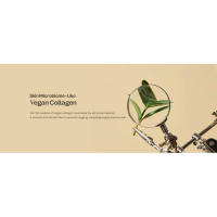 Vegan Collagen