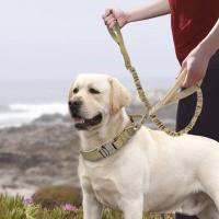 Perro táctico militar duradero, conjunto correa elástica, Collar entrenamiento caminar de nailon para mascotas, Perros medianos - details 15