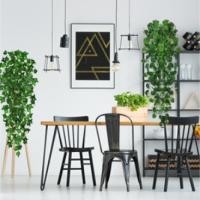 Plantas Colgantes Artificiales