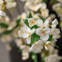 Flores artificiales elegantes de Begonia, simulación de tacto Real realista, flores de Malus, flores falsas hechas a mano, decoración de boda - details 12