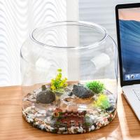 Tanque de peces redondo transparente de lujo ligero, tanque de visualización resistente a caídas, pecera decorativa de plástico para el hogar - details 11