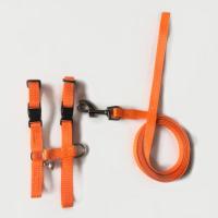 Correa Suave para Mascotas de Peluche Cuerda de Tirón Ajustable con Campana - details 12