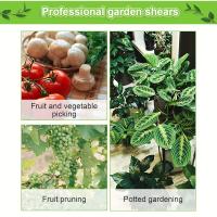 Tijeras de podar para jardinería, herramientas de jardín, tijeras para bonsái, tijeras para jardinería, recolección de frutas y uvas, herramienta de podar en maceta para el hogar, 1 ud. - details 4