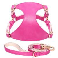 Correa de Tiro de Cuero PU para Perros Conjunto de Correa de Pecho para Gatos, Longitud de 5 Pies, Chaleco para Caminar - details 9