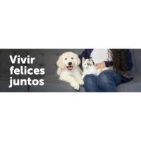 Vivir felices juntos