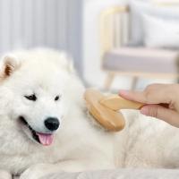 Peines para el pelo con mango de madera para perros, herramienta para desmatting de mascotas con agarre cómodo y ahorro de trabajo, almohadilla acolchada para quitar el desprendimiento - details 3