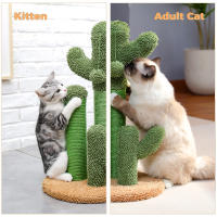 Rascador de Árbol de Gato Cactus Poste Rascador para Gatos pequeño, Rascador de Árbol para Gatos con Pelota de Juguete verde con bola - details 6