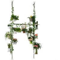 Macetas de Flores Telescópico Estantería para Plantas de Metal con 12 Bandeja, 2 Gancho y 1 Barra Telescópica - details 0
