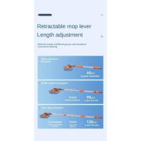 Equipo de Limpieza Cepillos de Limpieza Validados Categoría de Lavandería y Limpieza - details 13