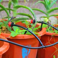 Maceta de jardín para invernadero, Caperucita Roja, cabezal de goteo, flujo de agua ajustable, boquilla de riego por goteo para huerto - details 4