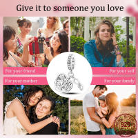 Encantos de Plata Esterlina S925 con Mariposa Flor y Corazón para Pulsera Original de 3mm Joyería Fina de Cumpleaños para Mujeres Material de Metal con Zirconia - details 11