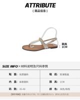 Sandalias planas con clip para mujer, nuevas de verano para uso al aire libre con faldas, chanclas de playa - details 2