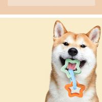 Juguetes para mascotas, dientes roedores, juguetes de TPR, anillo de tracción de estrellas, suministros para perros, juguetes, anillo doble, juego de juguetes auto-hi - details 34