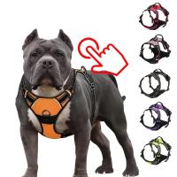 Correa de Nylon para Perros Reflectante y Cómoda con Asa Acolchada de 1.5m Adecuada para Perros Pequeños y Grandes Accesorios de Senderismo al Aire Libre y Entrenamiento - details 4