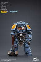 JOYTOY 1/18 figura de acción Space Wolves Claw Pack Sigyrr Stoneshield colección de Anime modelo militar - details 2