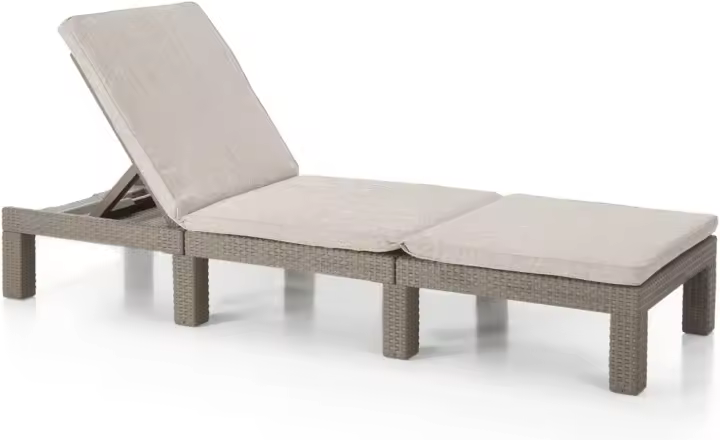 Daytona Deluxe - Tumbona de jardín para terrazas exteriores, patios, jardines, con respaldo reclinable en 4 posiciones, estructura reforzada con cojín incluido, color gris - 1