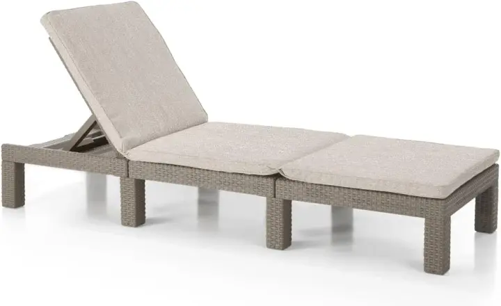 Daytona Deluxe - Tumbona de jardín para terrazas exteriores, patios, jardines, con respaldo reclinable en 4 posiciones, estructura reforzada con cojín incluido, color gris - 1