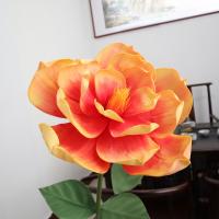 Flor de Magnolia simulada 3D, 30/50CM, flor de simulación de espuma colorida, paisaje de centro comercial, decoración de boda, flor simulada - details 3