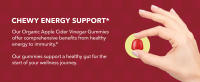 apple cider vinegar gummies acv gummies apple cider gummies apple vinegar gummy