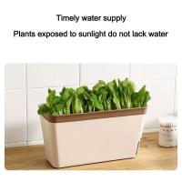 Planta de riego automático floral moderna y elegante rectangular de doble capa para interiores ETA, hidropónica ETA - details 9