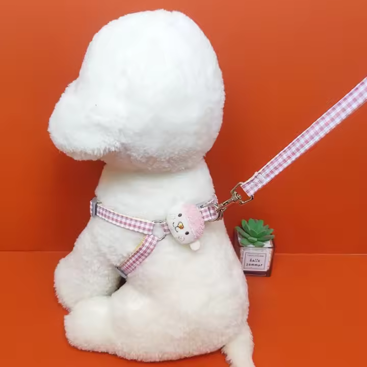 Bonito conjunto de arnés y correa para perro pequeño, con cordero - 1