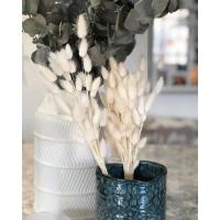 Ramo de Flores Secas de Cola de Conejo 50pcs Ideal para Decoración de Boda, Fiesta, Navidad - details 3