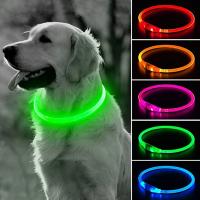 Collar con luz Led para perro, Correa luminosa de carga USB, desmontable, brillante, para gato grande, Labrador pequeño, productos para mascotas - details 0