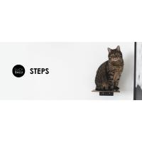 Steps
