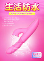 11.jpg