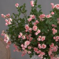Rama de flor de Rosa Artificial de 65cm, flor de Rosa de imitación de plástico de tacto Real, flores falsas elegantes hechas a mano, decoración para el hogar y la Oficina - details 16