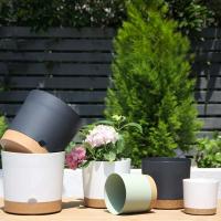 ETA interior circular grande de plástico para plantas jugosas, bonsái eterno con bandeja de drenaje, decoración del hogar y jardín - details 14